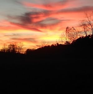 Meet your Posher, Warren